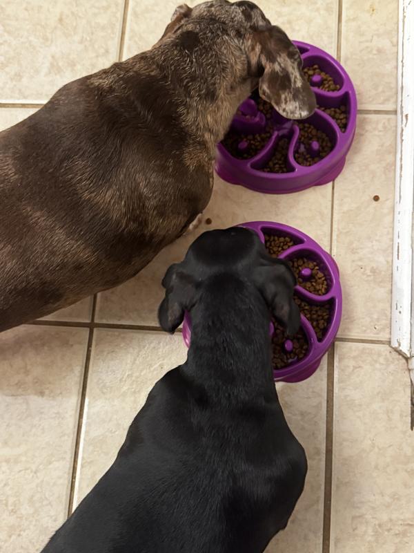The bowl in action