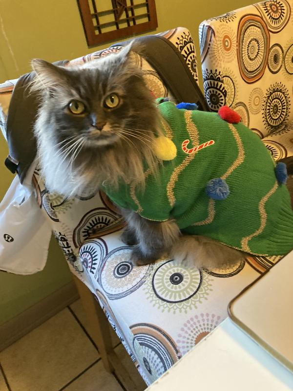 Big Tree - Size Medium