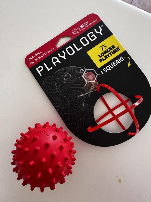 Playology Beef Scented Squeaky Bounce Ball Dog Toy