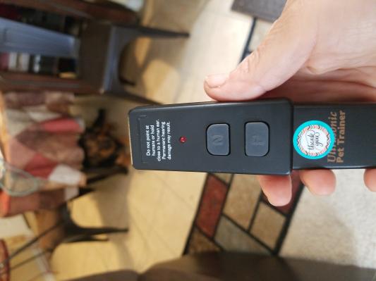 Petsafe ultrasonic remote outlet trainer