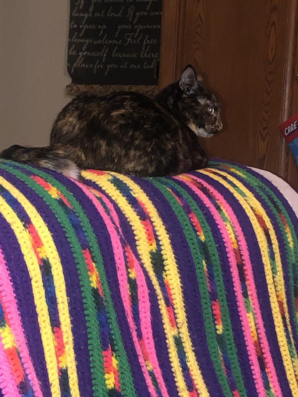 I love my new toys!! ❤️