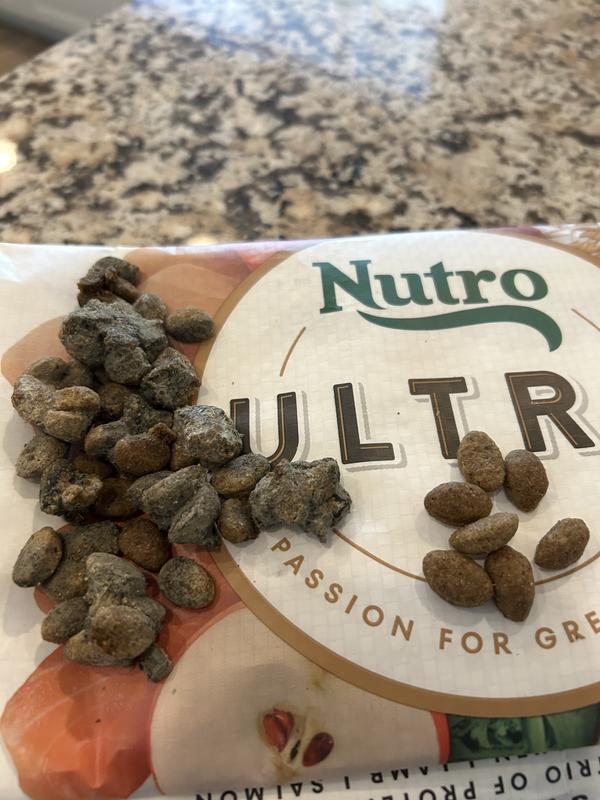 Food on right is what this kibble should look like. This is now the second time I have encountered serious quality issues with this brand.
