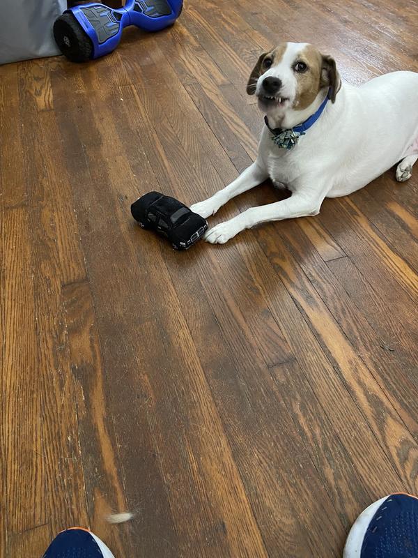 Hanging Out with his Truck
