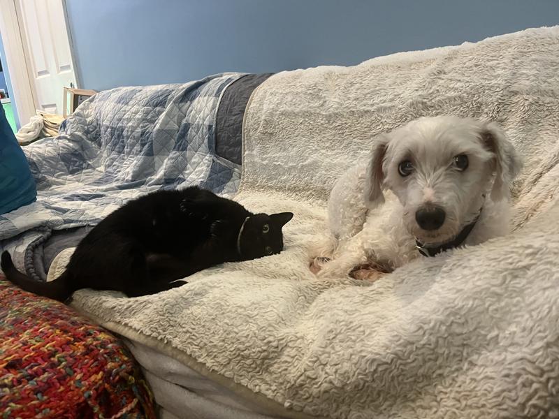 Beau isn’t quite ready to believe that she’s changed, but trust me when I say that that is a happy Lizard.