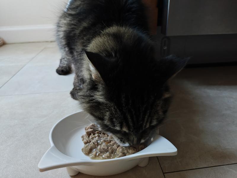 This is the finicky one.