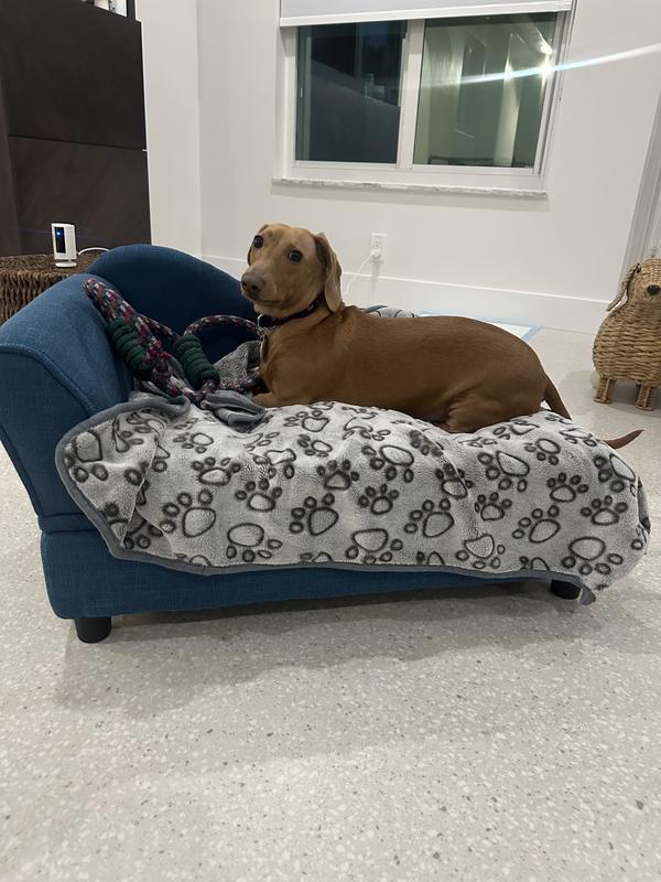 Perfect for a 16 lb dachshund.