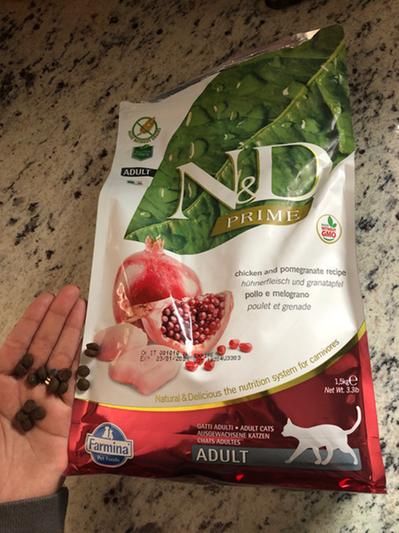 Natural and delicious 2025 cat food review