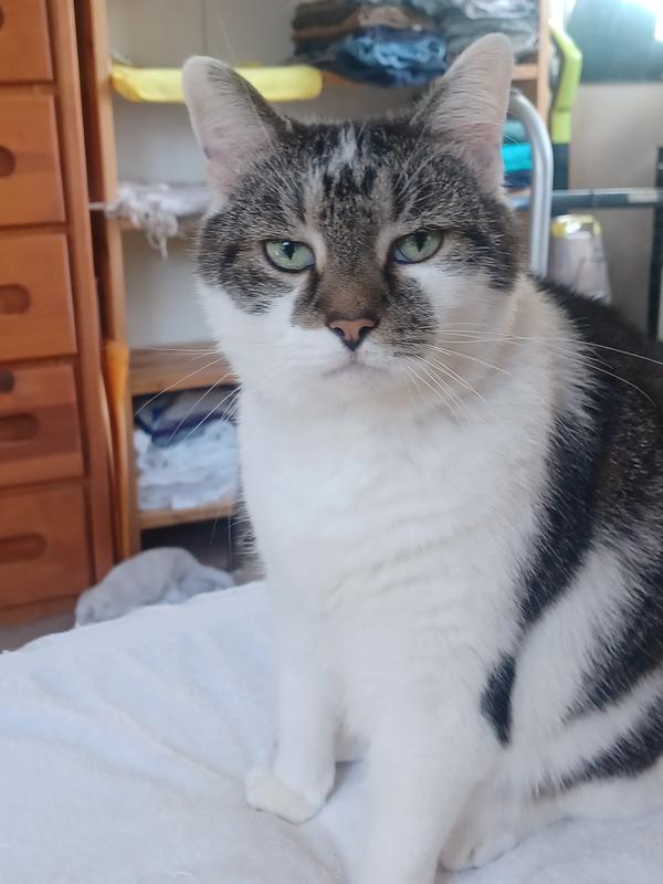 get a grip, I'm fluffy!