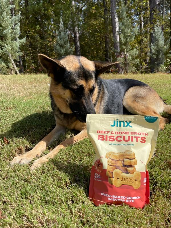 JINX Beef & Bone Broth Biscuits Crunchy Dog Treats, 16oz bag