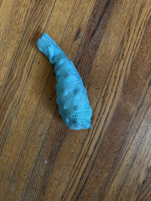 Octoleg: Last leg standing!