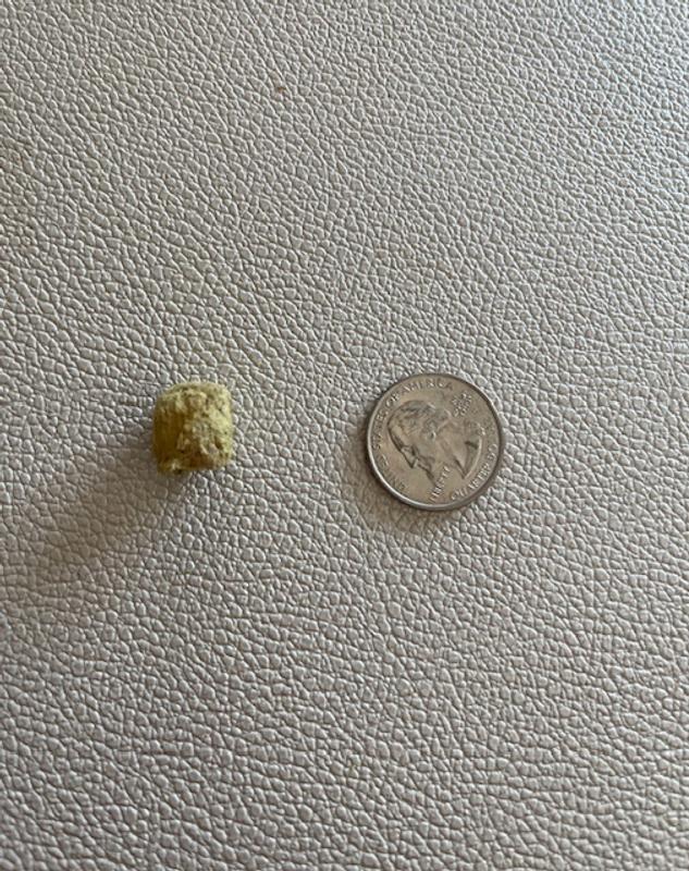 This is a quarter for size comparison.