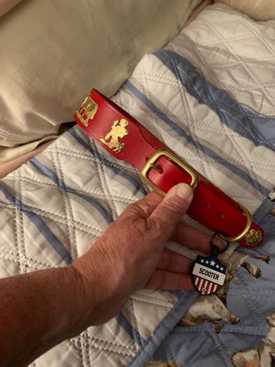 Beautiful on my $$ handmade collar !