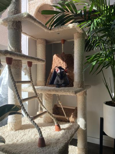 He loves this little hideout