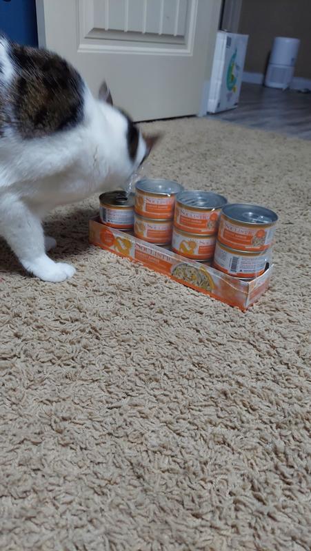 Jade getting curious