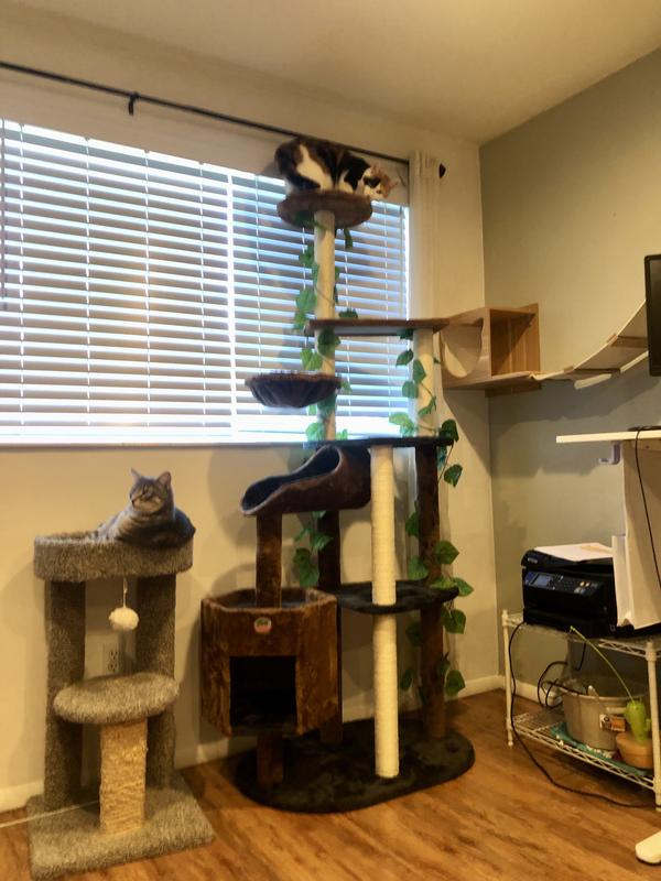 Out of Stock - GO PET CLUB 74-in Forest with Leaves Cat Tree, Black ...