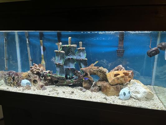 sunken pirate ship aquarium decoration