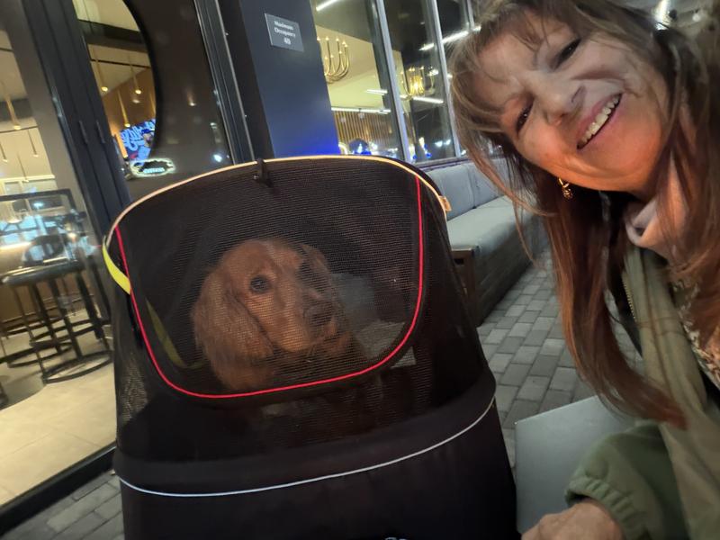 Mama is happy to have Odie not pulling her around, especially seeing how he liked being pushed around.  Our furry baby. 😍