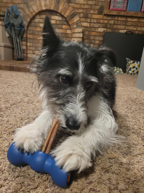 Happily chewing away