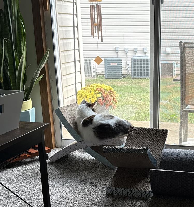 Good for scratching, great for lounging