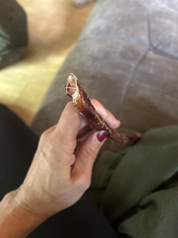 Super crunchy! My dog ate it in 30 secs