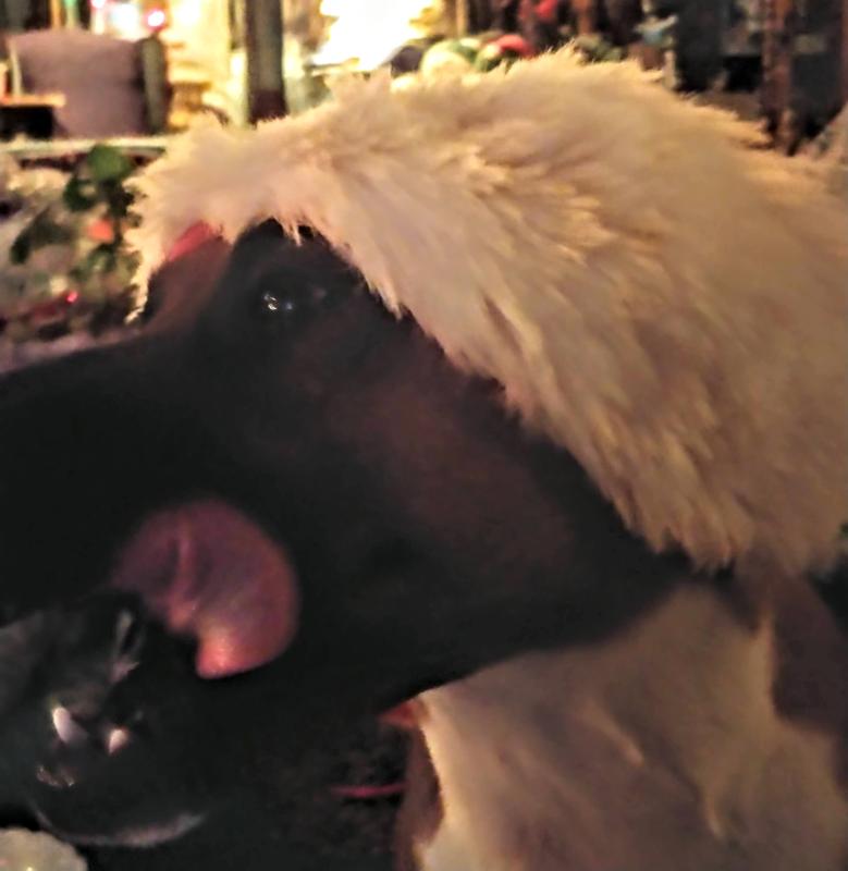 Tasty.... Sacagawea says.