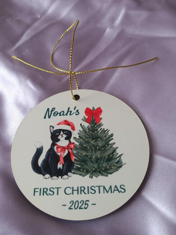 This is an ornament, I brought cause It's my Noah's first Christmas.