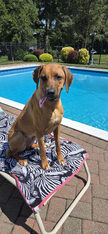 Katavi loves her Birthday cookie