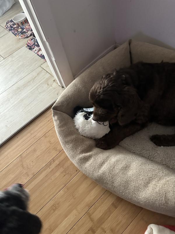 Bambi having a blast