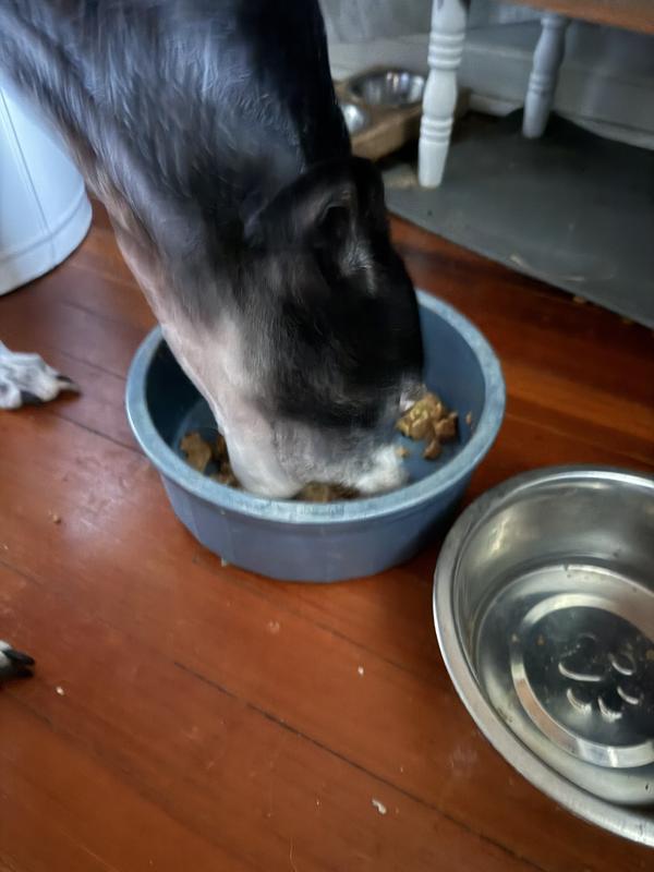 Couldn’t get enough of this food