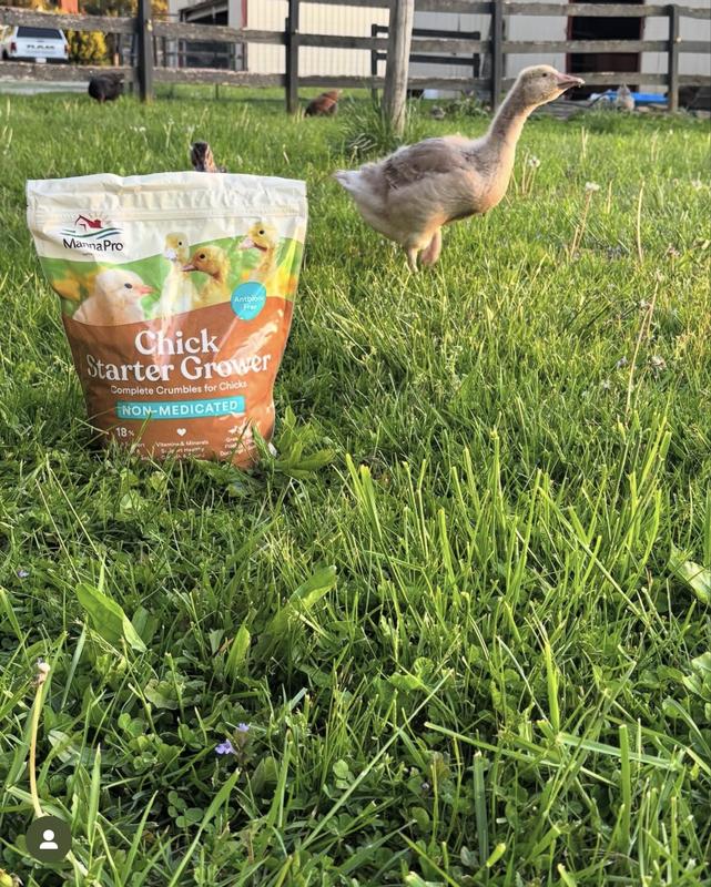 Fresh! Great quality!