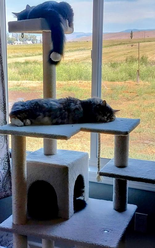 Perfect place of Rest