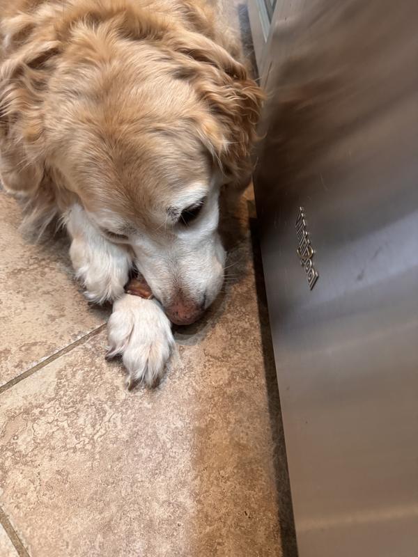 Nolan Ryan and his pup for jerkey treat