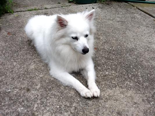 Mia