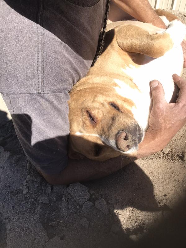 Burrito loving up her dad.