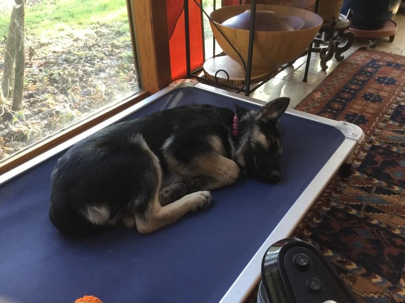 Full tummy.  Nap time.