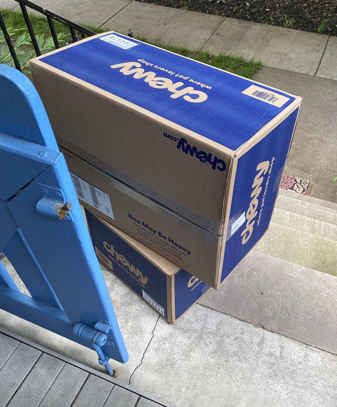 FRISCO Two Door Top Load Plastic Dog & Cat Kennel, Blue, 24in