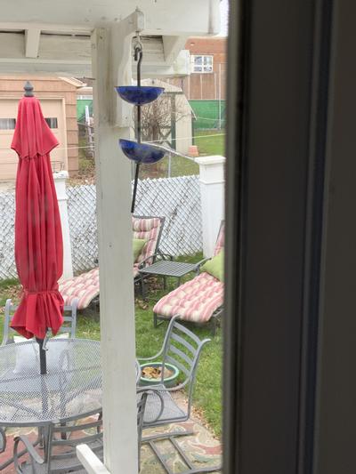 What is left after first week.