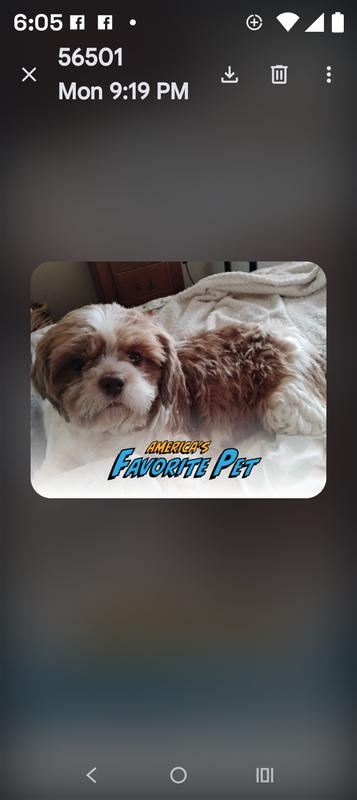 She's the best girl ever