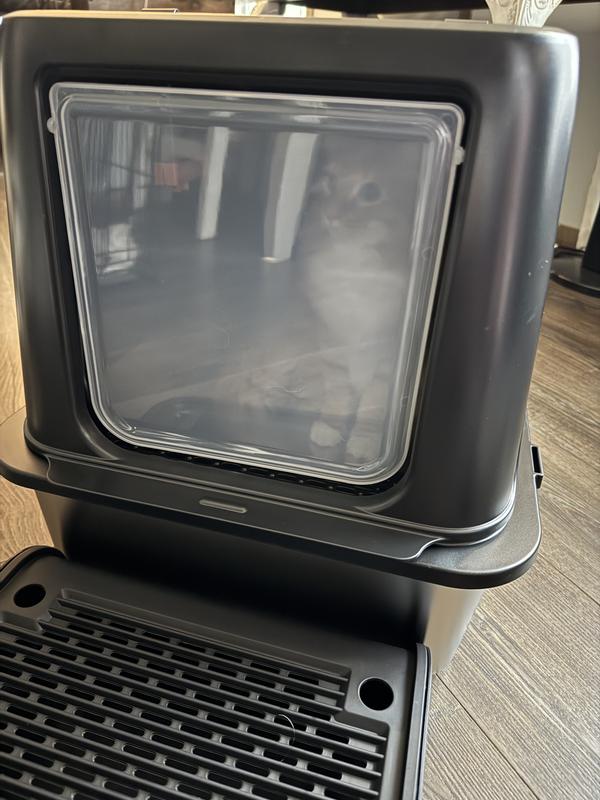 My fur baby thinks he will just stay in the box