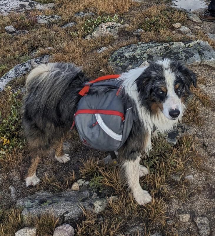 Rainy day on the trail