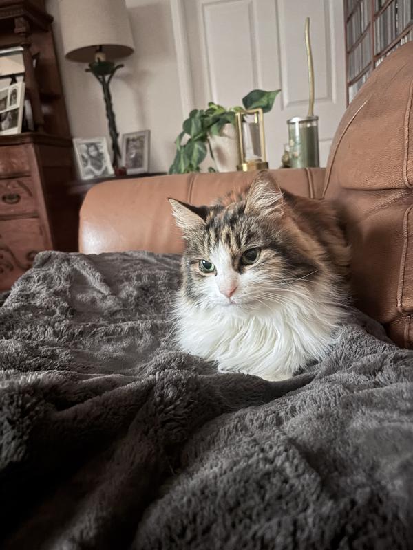 Feeling so much better😻