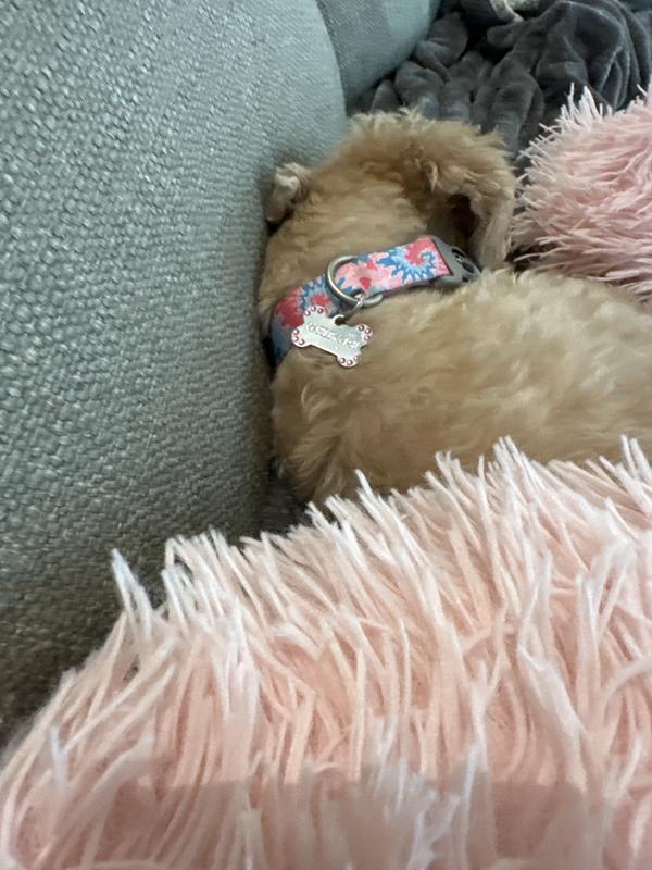 Isn’t my necklace pretty?