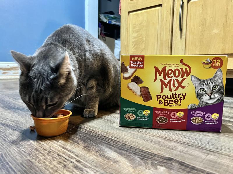 Meow mix poultry outlet and beef