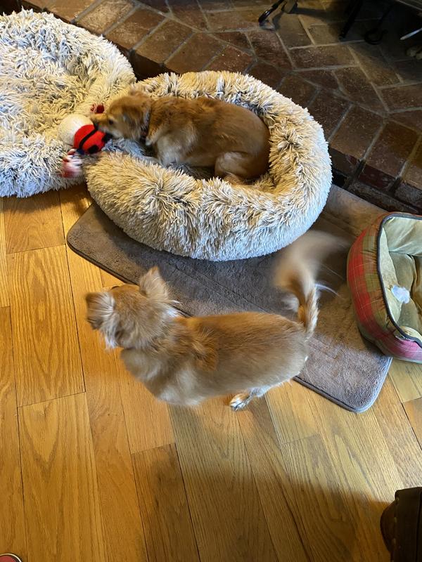 Poor Annie is going to have to wait till Peanut is done playing with Santa.