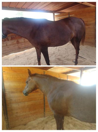 Bottom is before, Top is after