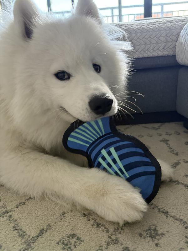 Lookin' goofy with new fish toy!