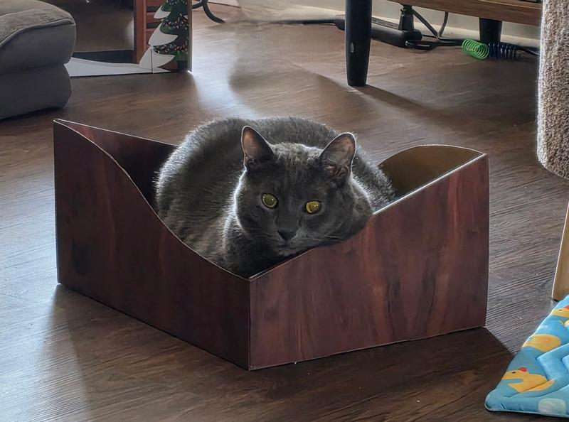 If he lays, it stays!