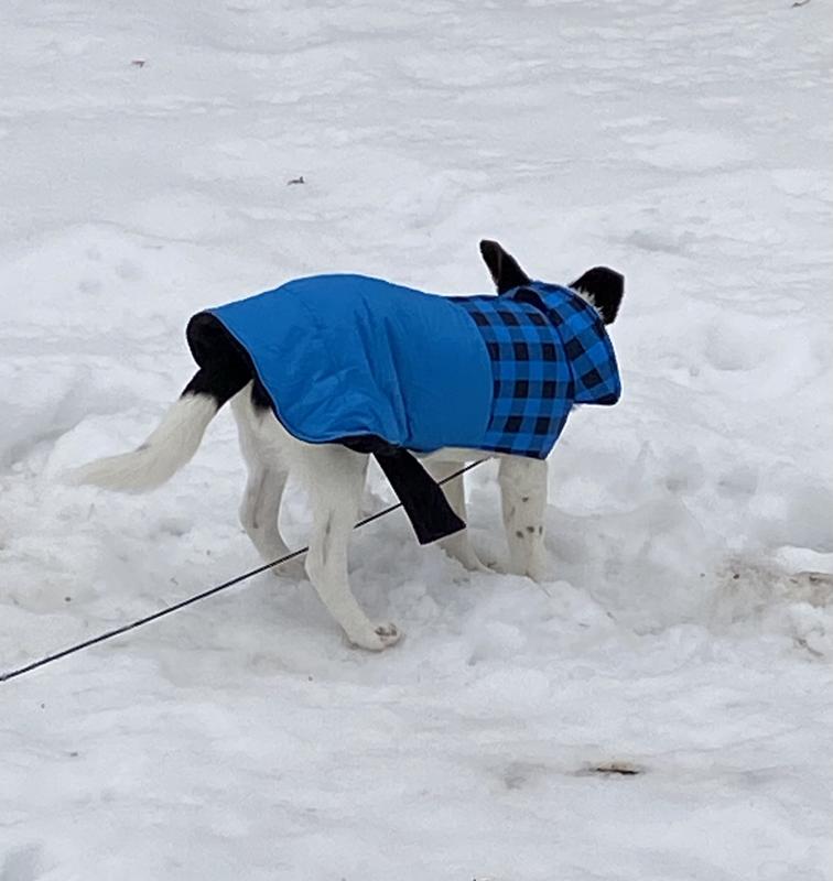 Frisco Boulder BLUE Plaid Insulated Dog & Cat Puffer Coat PICK