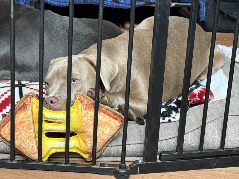 Tater Can’t Get Enough!