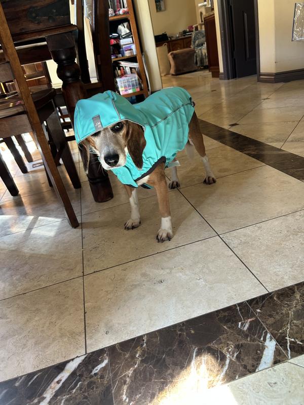 Bosch is ready for the rain !